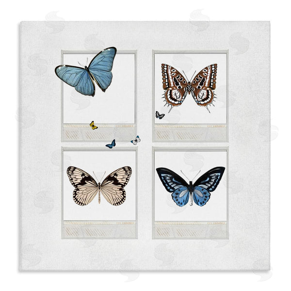 stupell industries Karen Smith | Butterflies Vintage Film Nature Wall Art