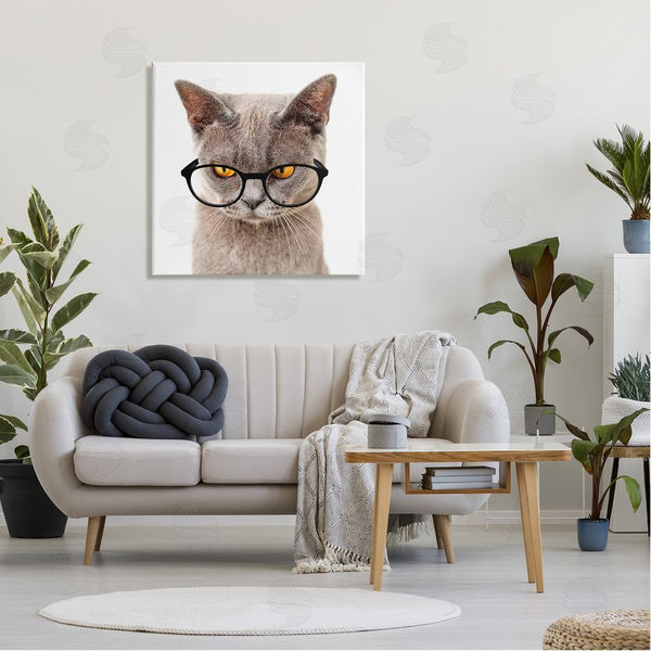 Stupell Industries Karen Smith | Cat Face Hipster Glasses Wall Art