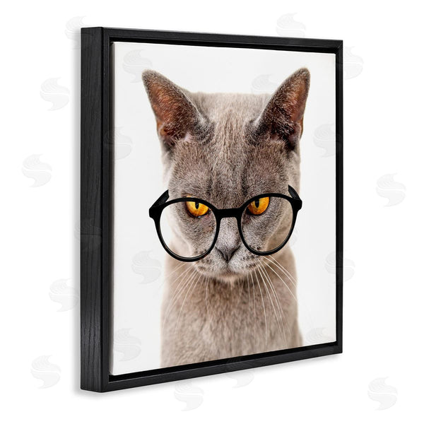 Stupell Industries Karen Smith | Cat Face Hipster Glasses Wall Art