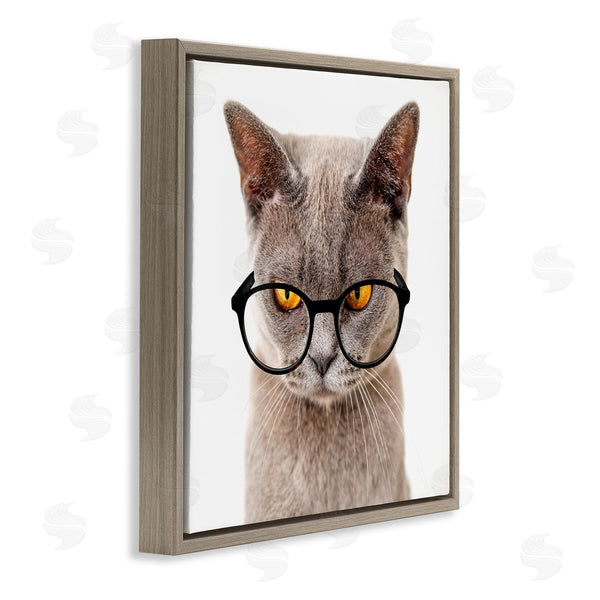 Stupell Industries Karen Smith | Cat Face Hipster Glasses Wall Art