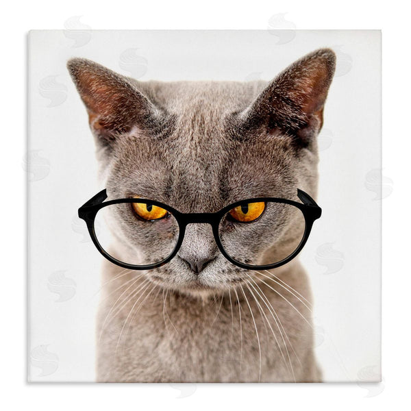 stupell industries Karen Smith | Cat Face Hipster Glasses Wall Art