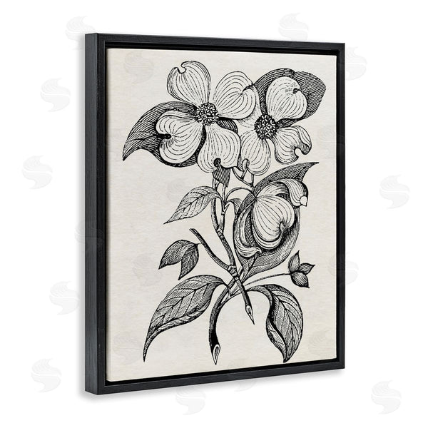 Stupell Industries Karen Smith | Classic Cut Of Dogwood