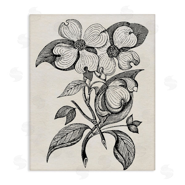 stupell industries Karen Smith | Classic Cut of Dogwood