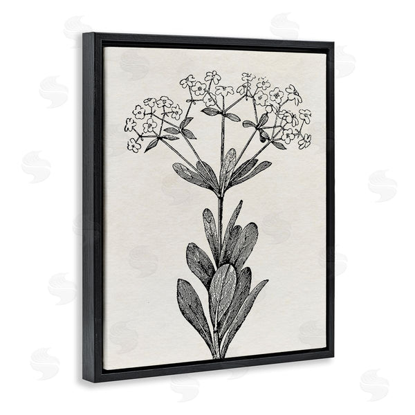 Stupell Industries Karen Smith | Classic Cuts Botanicals