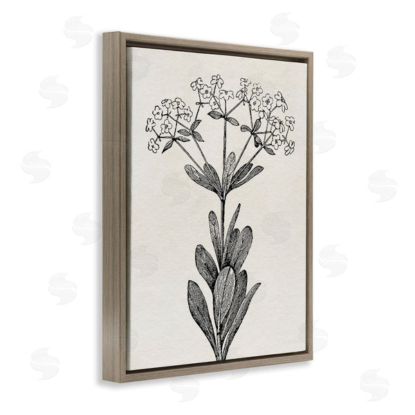 Stupell Industries Karen Smith | Classic Cuts Botanicals