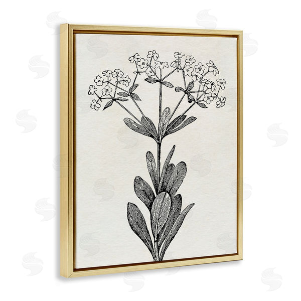 Stupell Industries Karen Smith | Classic Cuts Botanicals