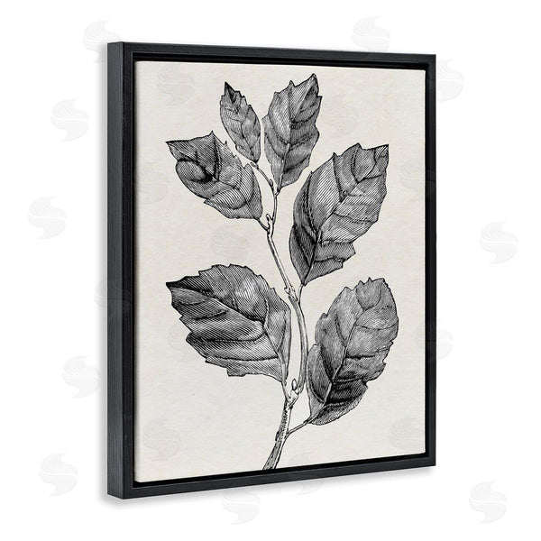 Stupell Industries Karen Smith | Classic Leaf Branch Cut