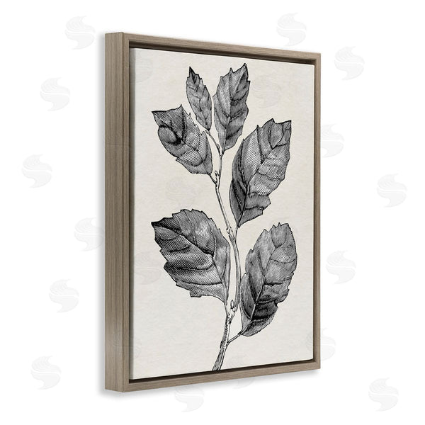 Stupell Industries Karen Smith | Classic Leaf Branch Cut