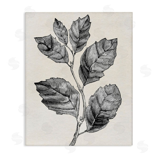 stupell industries Karen Smith | Classic Leaf Branch Cut