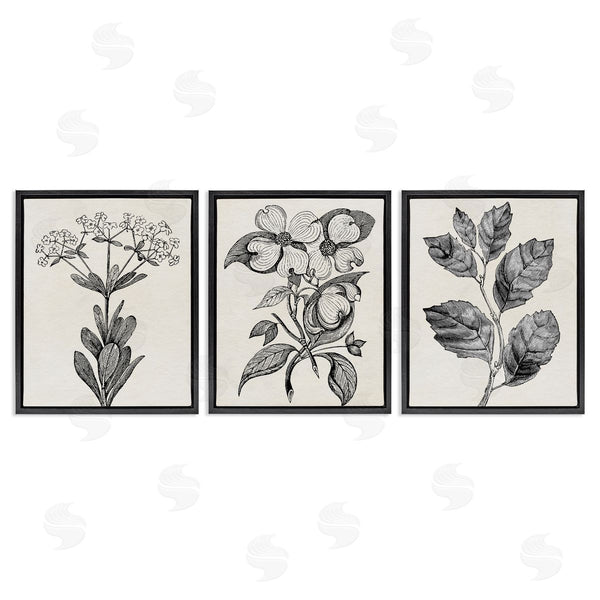 Stupell Industries Karen Smith | Classic Natural Botanicals