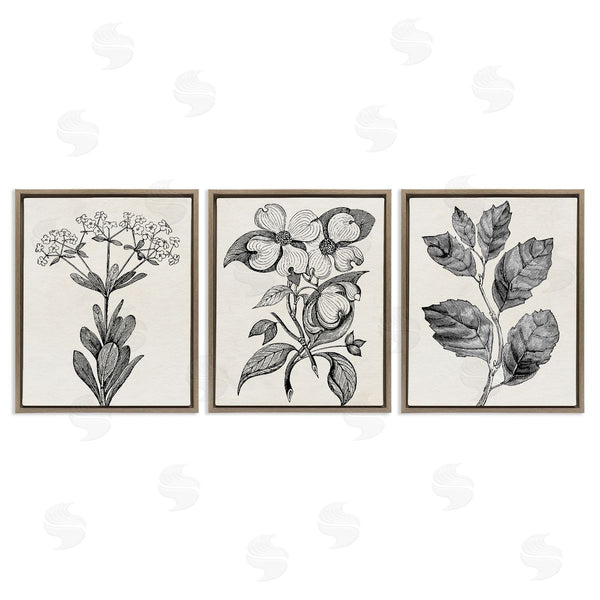 Stupell Industries Karen Smith | Classic Natural Botanicals
