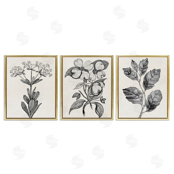 Stupell Industries Karen Smith | Classic Natural Botanicals
