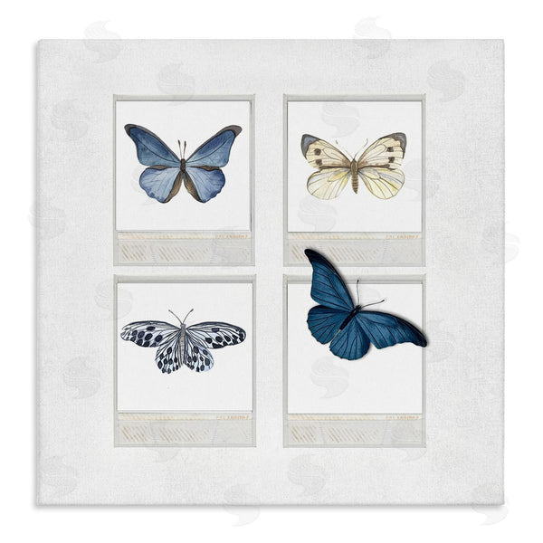 stupell industries Karen Smith | Cottage Retro Film Butterflies Wall Art