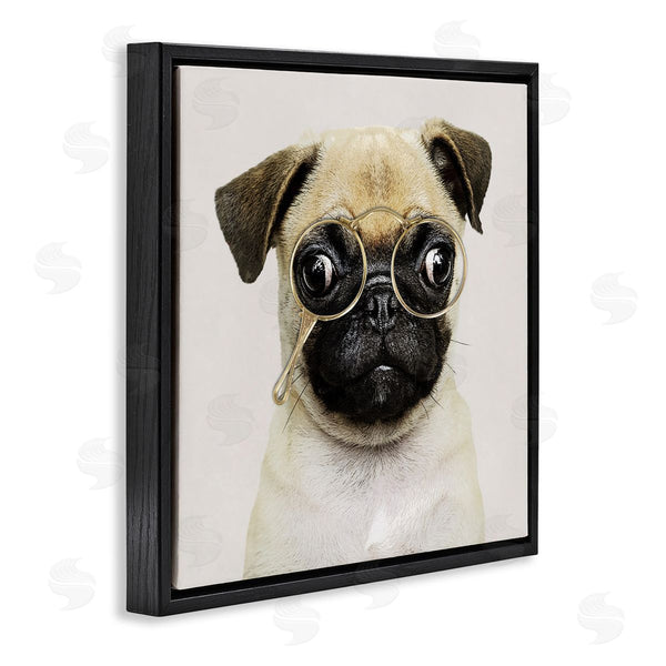 Stupell Industries Karen Smith | Fun Pug Vintage Glasses Wall Art