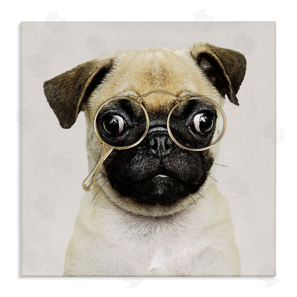 stupell industries Karen Smith | Fun Pug Vintage Glasses Wall Art