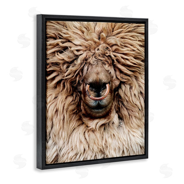 Stupell Industries Karen Smith | Long Haired Sheep Portrait Wall Art
