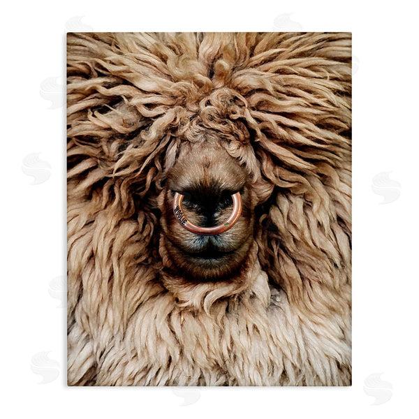 stupell industries Karen Smith | Long Haired Sheep Portrait Wall Art