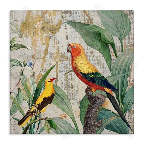 stupell industries Karen Smith | Perched Birds Collage
