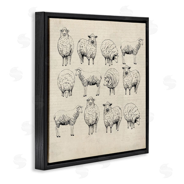 Stupell Industries Karen Smith | Vintage Sheep Drawings