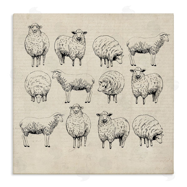 stupell industries Karen Smith | Vintage Sheep Drawings