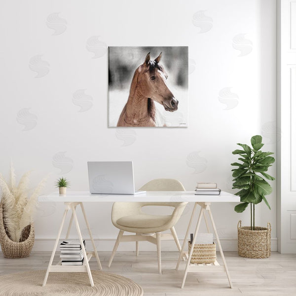 Stupell Industries Kari Brooks | Brown Foal In Snow Wall Art