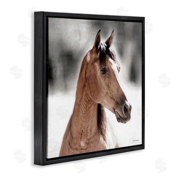 Stupell Industries Kari Brooks | Brown Foal In Snow Wall Art