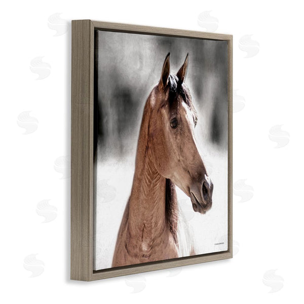 Stupell Industries Kari Brooks | Brown Foal In Snow Wall Art