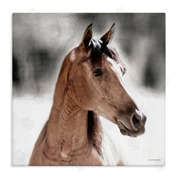 stupell industries Kari Brooks | Brown Foal in Snow Wall Art