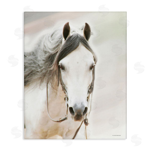 stupell industries Kari Brooks | White Horse Portrait Wall Art