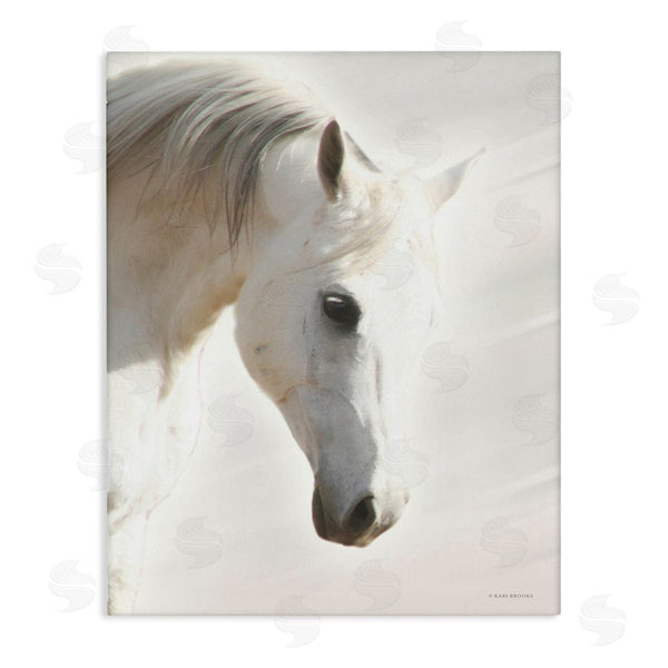 stupell industries Kari Brooks | White Stallion Portrait Southwestern Horse