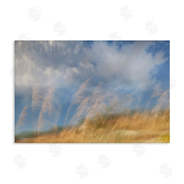 stupell industries Karin Connolly | Waves Of Terra Landscape