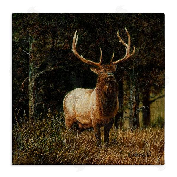 stupell industries Karla Mann | Elk in Forest Painting