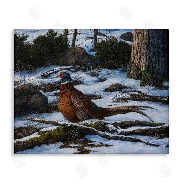stupell industries Karla Mann | Pheasant in Snowy Woods