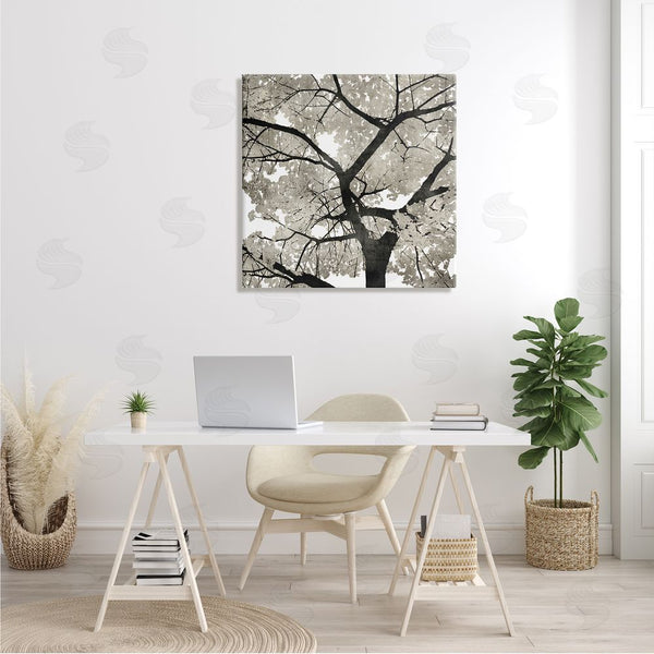 Stupell Industries Kate Bennett | Abstract Tree Branches Bold Black Grey Wilderness Wall Art
