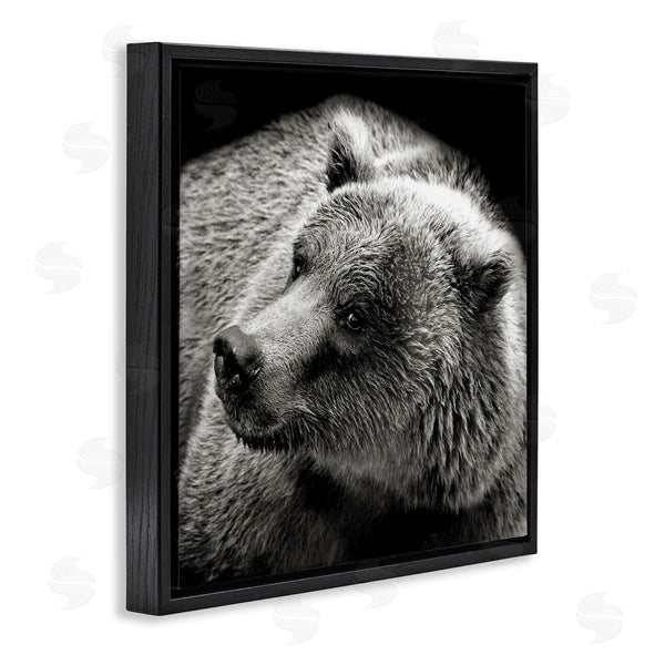 Stupell Industries Kathy Mansfield | Bear Looking Left