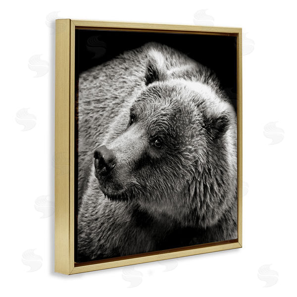 Stupell Industries Kathy Mansfield | Bear Looking Left