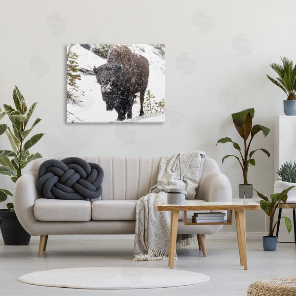 Stupell Industries Kathy Mansfield | Bison In Windblown Snow Wall Art