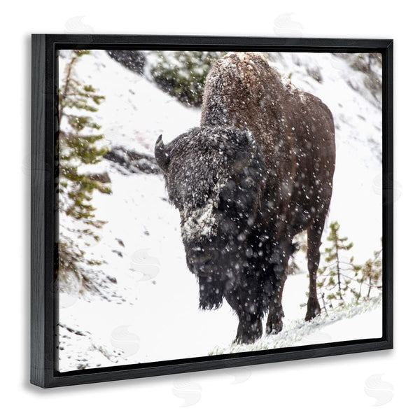 Stupell Industries Kathy Mansfield | Bison In Windblown Snow Wall Art