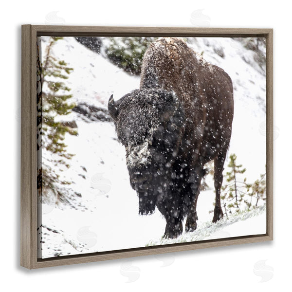 Stupell Industries Kathy Mansfield | Bison In Windblown Snow Wall Art