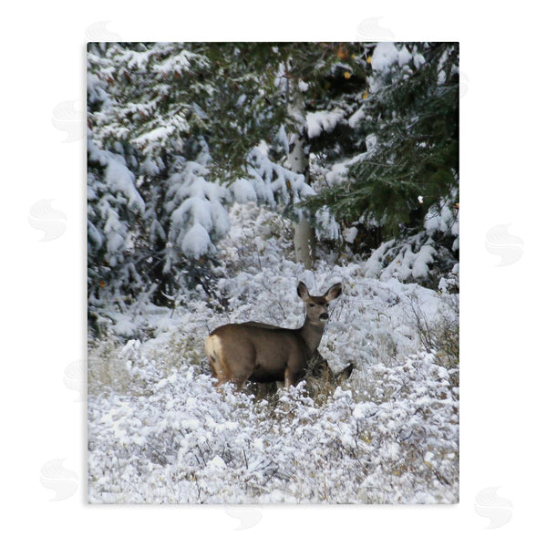 stupell industries Kathy Mansfield | Deer in Winter Trees Wall Art