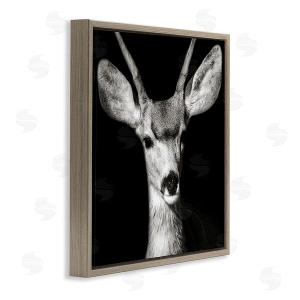 Stupell Industries Kathy Mansfield | Gazing Deer Portrait