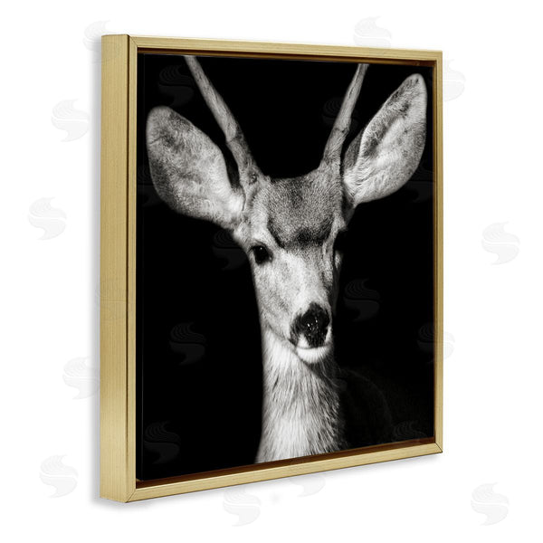 Stupell Industries Kathy Mansfield | Gazing Deer Portrait
