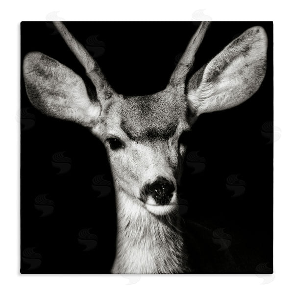 stupell industries Kathy Mansfield | Gazing Deer Portrait