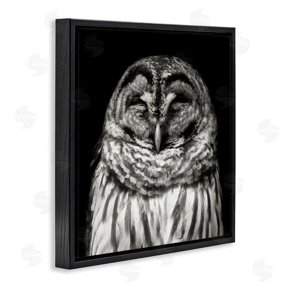 Stupell Industries Kathy Mansfield | Sleeping Owl Portrait