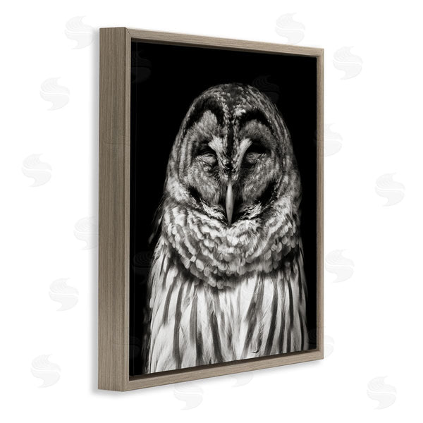 Stupell Industries Kathy Mansfield | Sleeping Owl Portrait