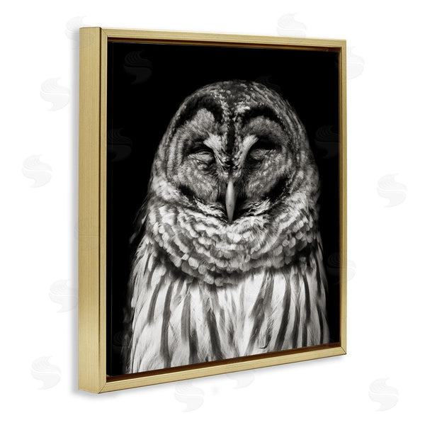 Stupell Industries Kathy Mansfield | Sleeping Owl Portrait