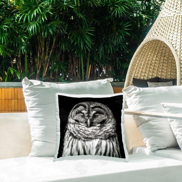 Stupell Industries Kathy Mansfield | Sleeping Owl Portrait Printed Throw Pillow