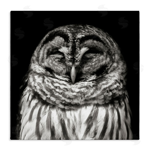 stupell industries Kathy Mansfield | Sleeping Owl Portrait