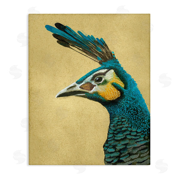 stupell industries Katie O'Shea | Peacock Looking Left