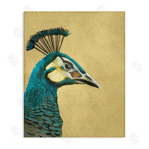 stupell industries Katie O'Shea | Peacock Looking Right